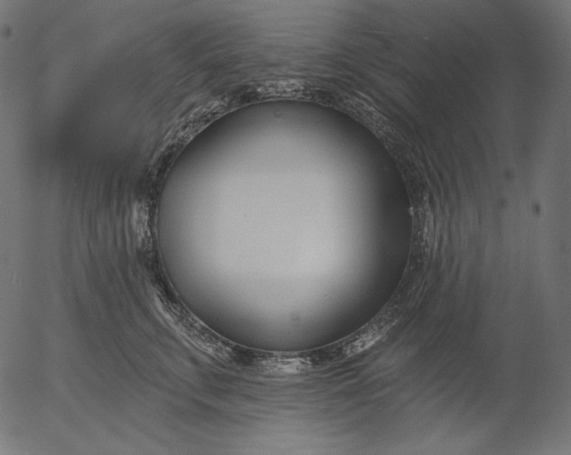 X0000056010711200509021730