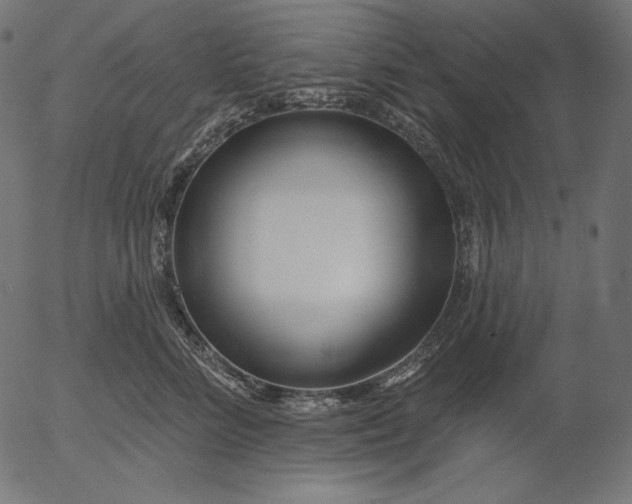 X0000056010712200509021730