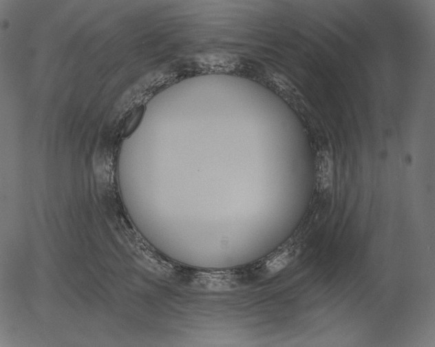 X0000056010713200509021730