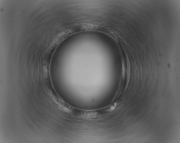 X0000056010716200509021730