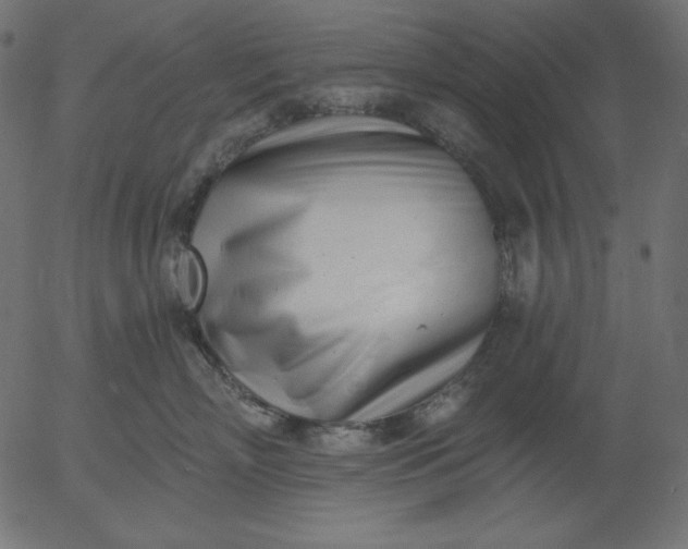 X0000056010718200509021730