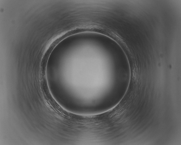 X0000056010724200509021729