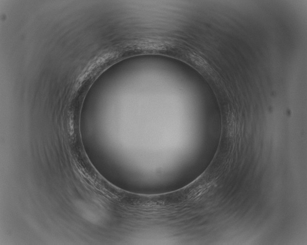 X0000056010731200509021729