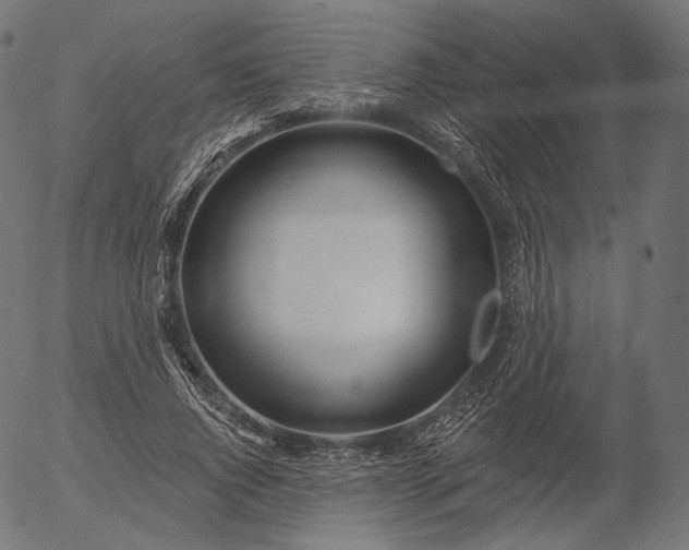 X0000056010736200509021729