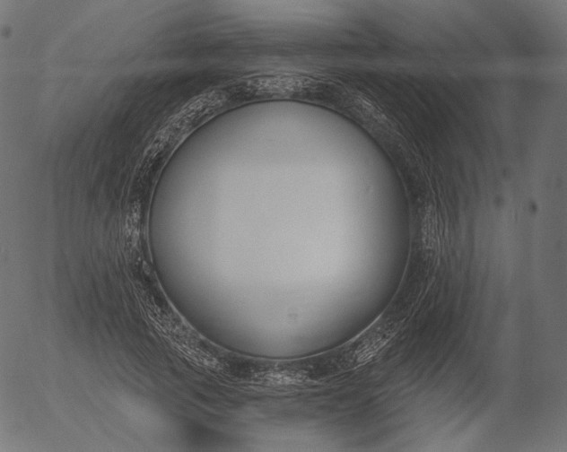 X0000056010737200509021729