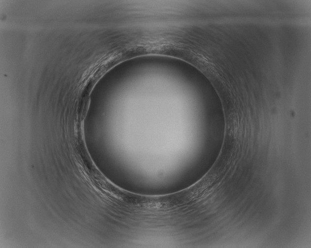 X0000056010740200509021729