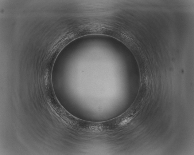 X0000056010744200509021729