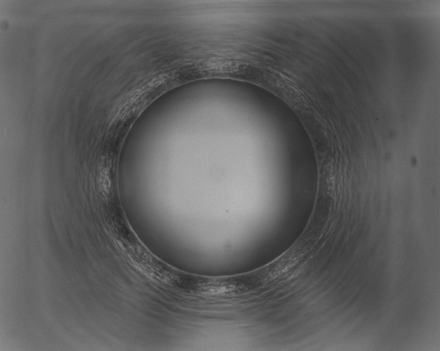 X0000056010746200509021729