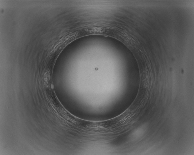 X0000056010747200509021729