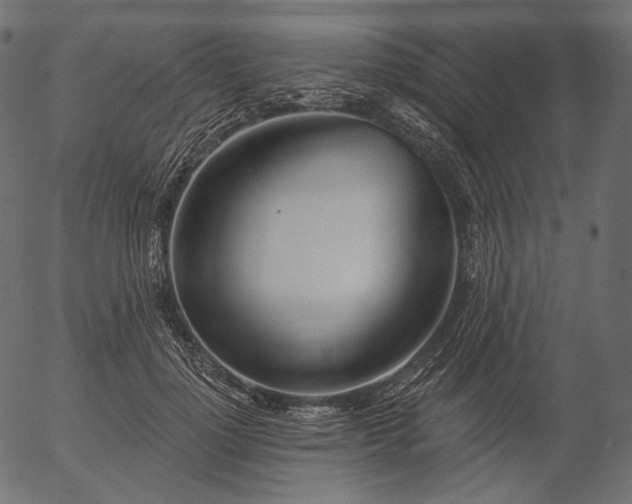 X0000056010748200509021729
