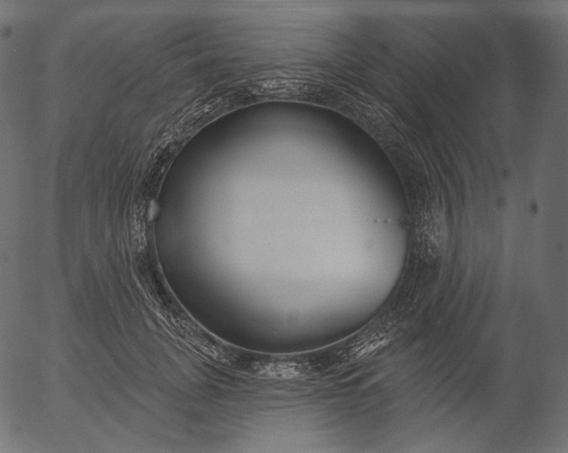 X0000056010751200509021729