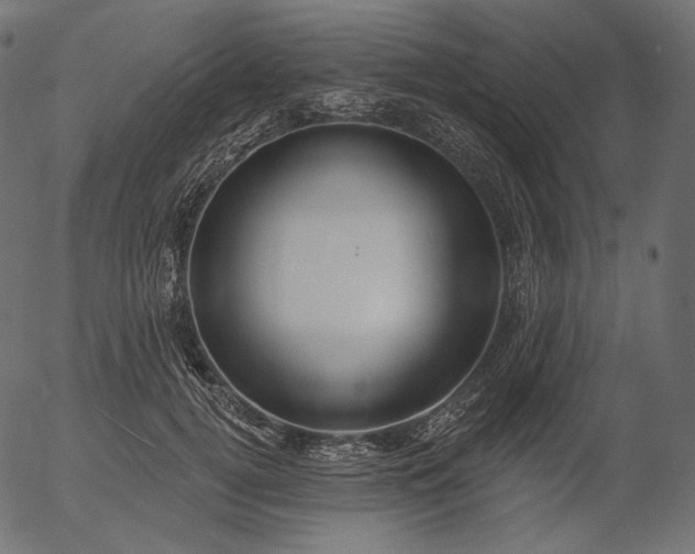 X0000056010752200509021729