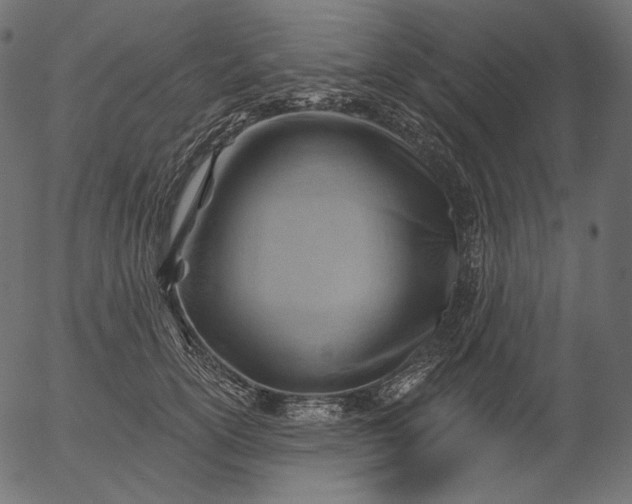 X0000056010754200509021729