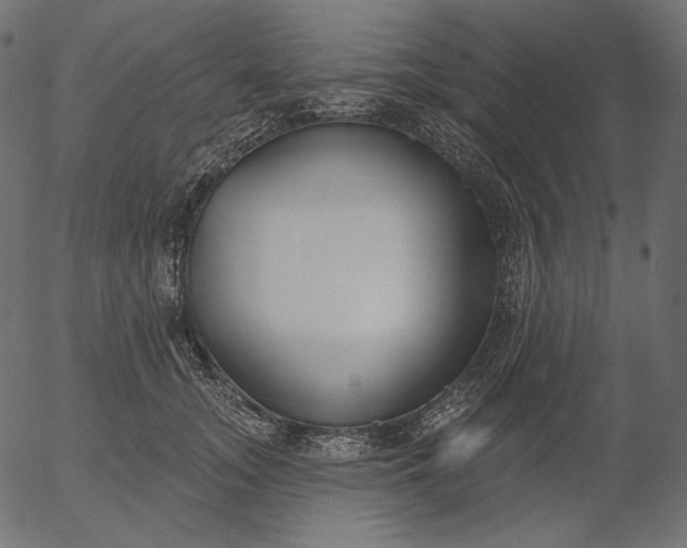 X0000056010755200509021729