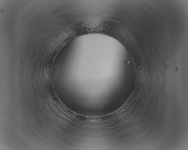 X0000056010756200509021729