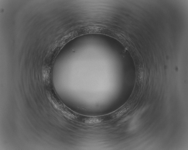 X0000056010759200509021730