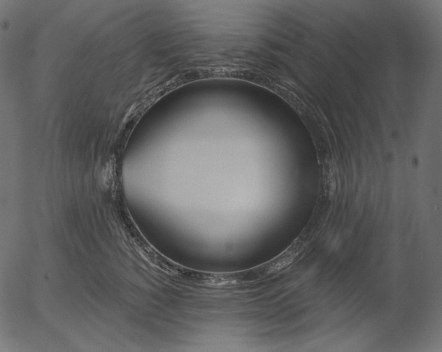X0000056010760200509021730