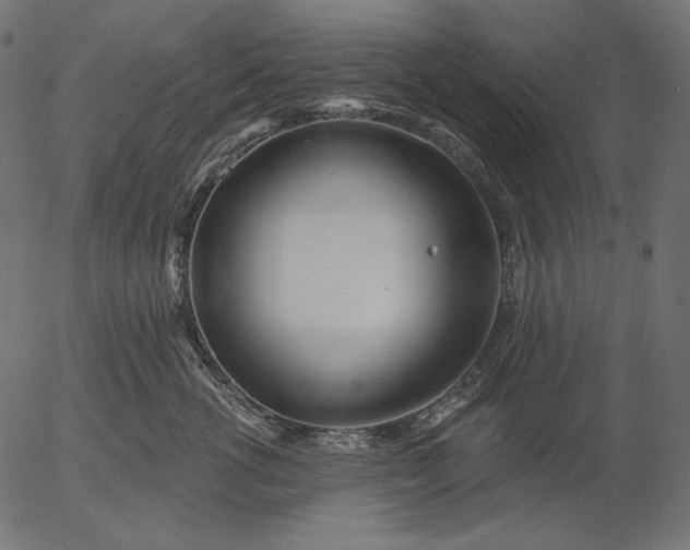 X0000056010762200509021730