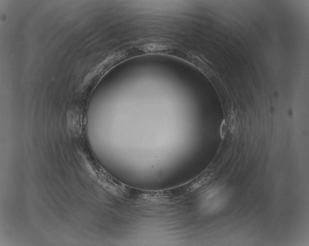 X0000056010763200509021730