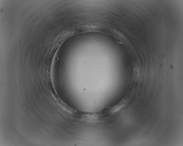 X0000056010765200509021730