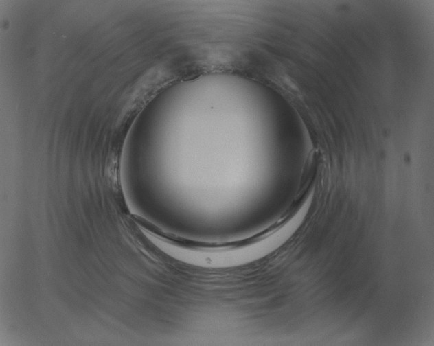 X0000056010766200509021730