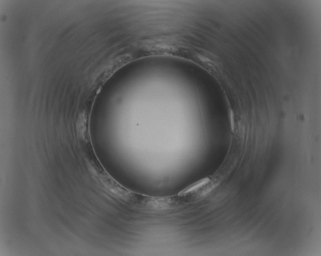 X0000056010767200509021730