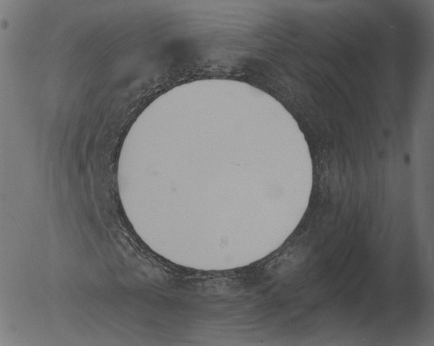 X0000056010769200509021729
