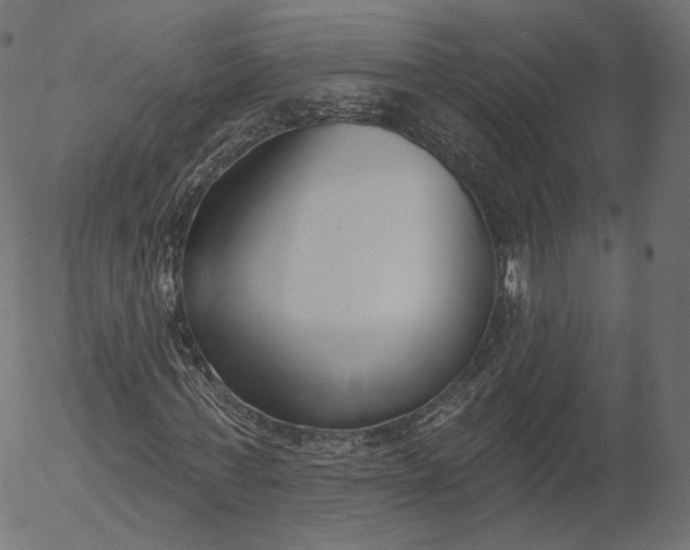 X0000056010771200509021729