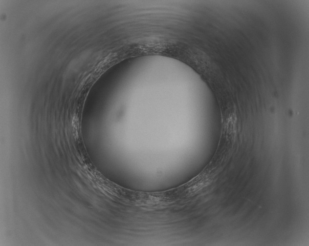 X0000056010772200509021729