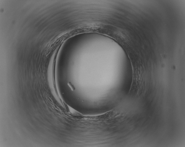 X0000056010773200509021729