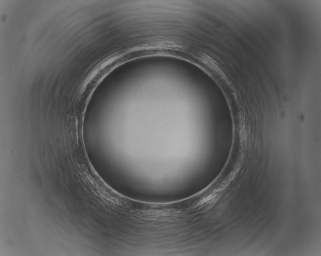 X0000056010781200509021729