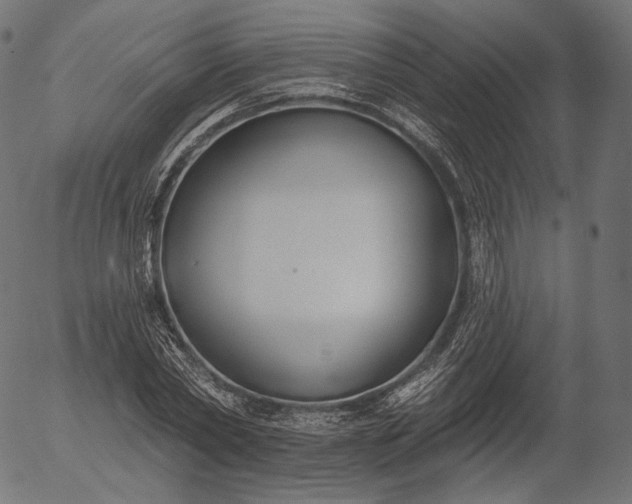 X0000056010782200509021729