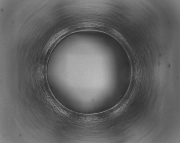 X0000056010786200509021729
