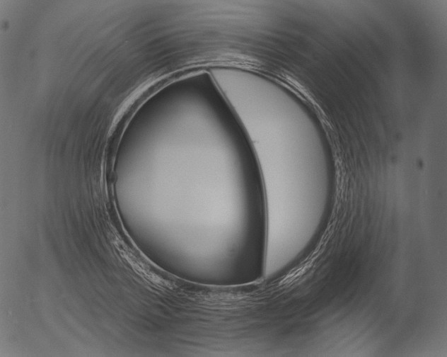 X0000056010788200509021729