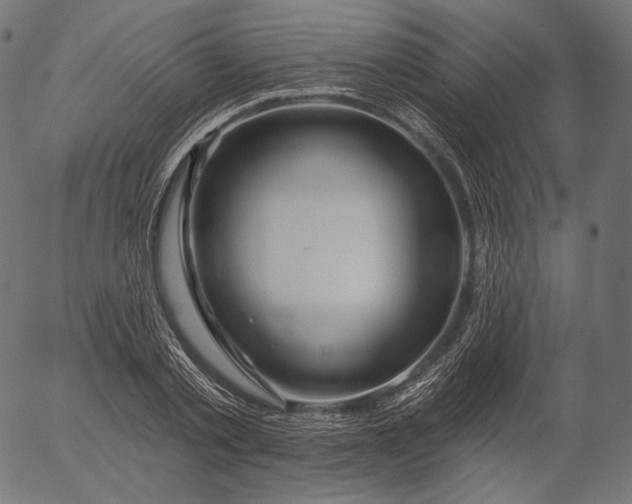 X0000056010789200509021729
