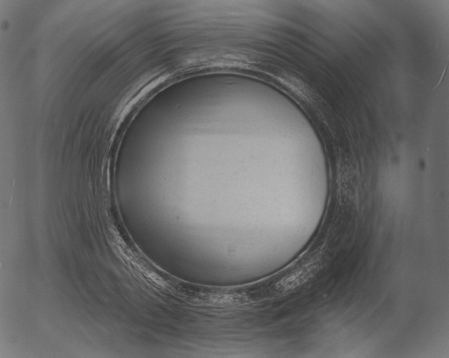 X0000056010790200509021729