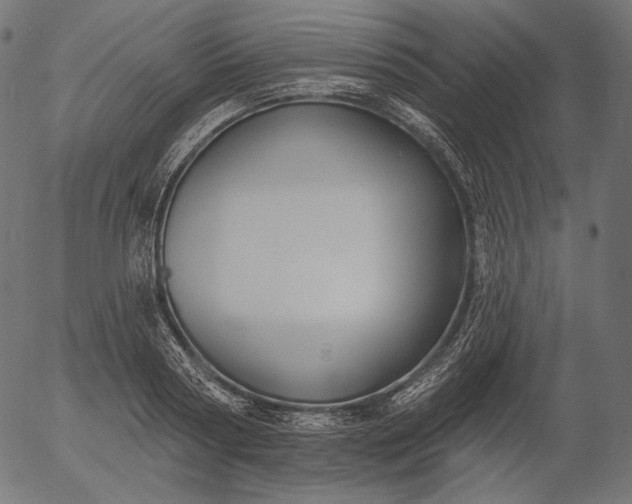 X0000056010794200509021728