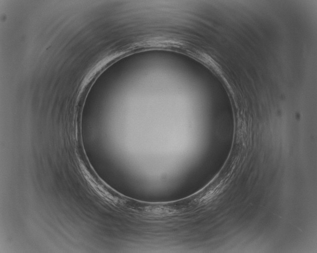 X0000056010795200509021728
