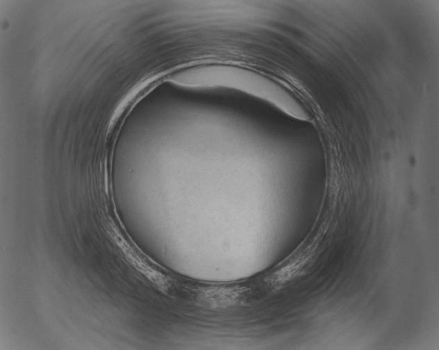 X0000056010796200509021728