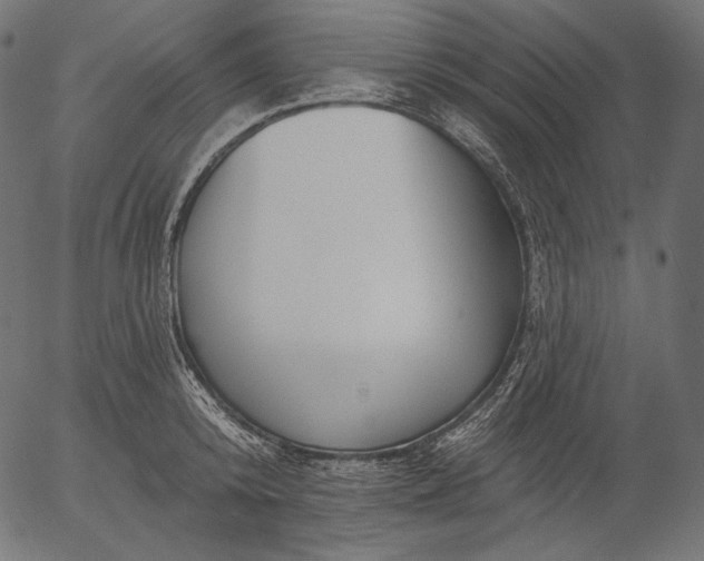 X0000056010800200509021728