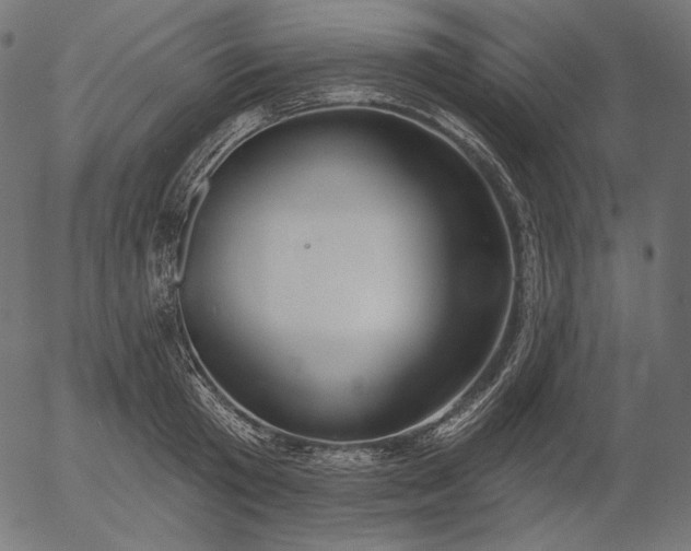 X0000056010801200509021728