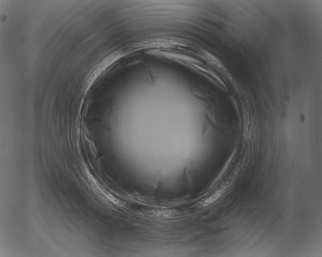 X0000056010802200509021728