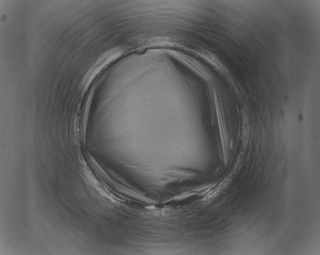 X0000056010806200509021728