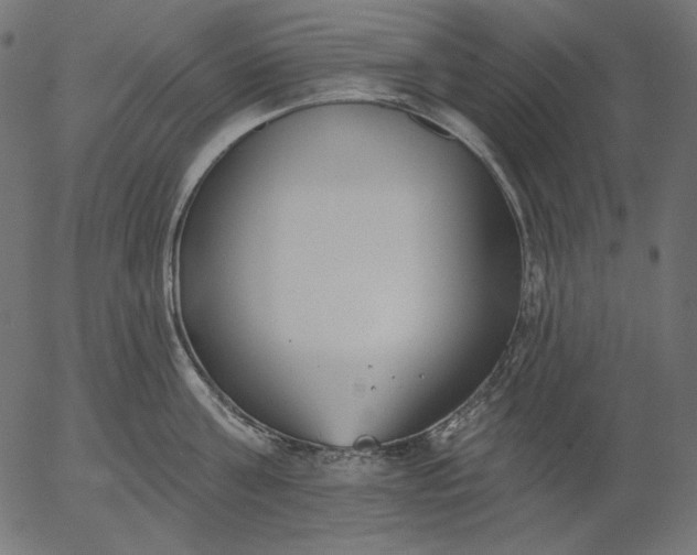 X0000056010811200509021728