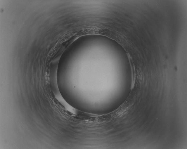 X0000056010818200509021727