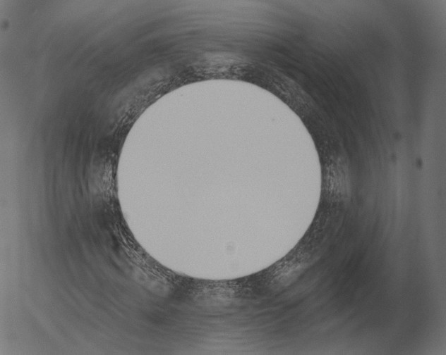 X0000056010820200509021727