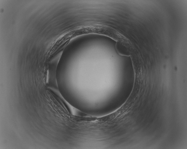 X0000056010822200509021727