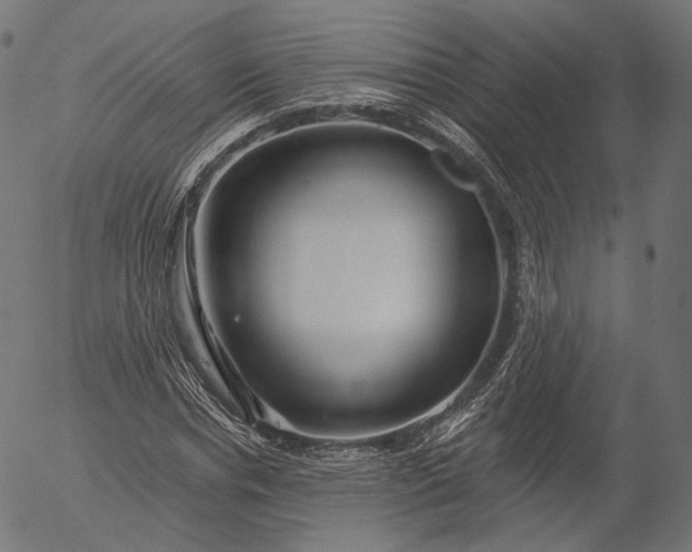 X0000056010826200509021727