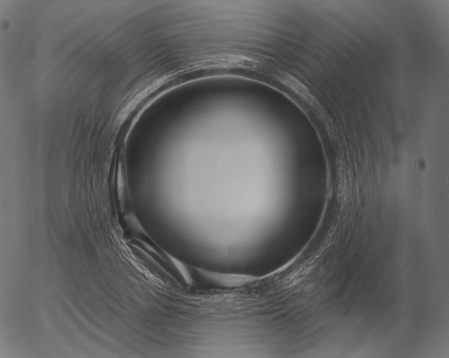 X0000056010834200509021728