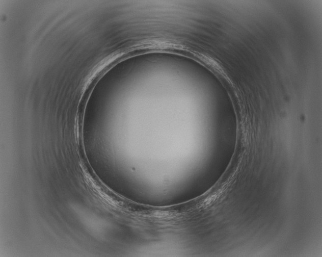 X0000056010839200509021728